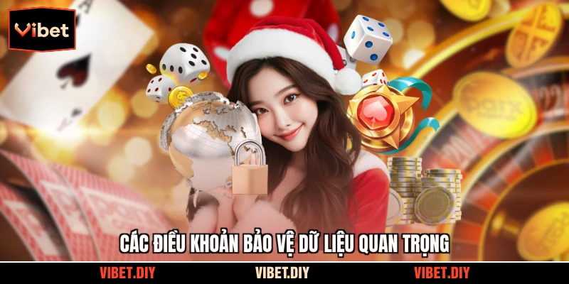 Các điều khoản bảo vệ dữ liệu quan trọng